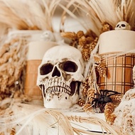 Fake Skull Bones Ghost Head Decoration Halloween Props Haunted House