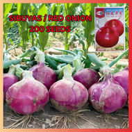 ปลูกง่าย ปลูกได้ทั่วไทย เมล็ดสด100% เมล็ดพันธุ์ หัวหอม บรรจุ 200เมล็ด/ถุง Organic Red Hawk Variety Onion Seeds Vegetable Seeds for planting เมล็ดหอมหัวใหญ่ เมล็ดพันธุ์ผัก ต้นไม้มงคล ผักสวนครัว เมล็ดบอนสี บอนไซ พันธุ์ผัก เมล็ดผัก เมล็ดพันธุ์พืช อร่อยมากกก