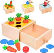 Wooden Montessori Toys Play Kit Object Permanence Box Coin Carrot Toddler Early Development Shape Sorter Ball Drop Toys for Age