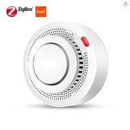 Smoke Detector TUYA APP Push Massage Smoke Sensor Highly Sensitive Alarm Fire for Home Alarm System