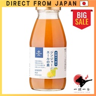 Kuze Fuku Ginger Ale Concentrate 290ml