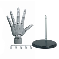 Left/Right Articulated Hand Model Flexible Adjustable Hand Finger Joint Figurine Imitation of Human