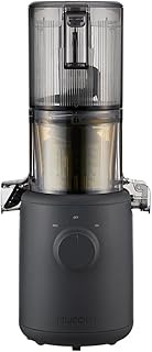 Hurom Easy Series Slow Juicer, Charcoal (HH-310CL)