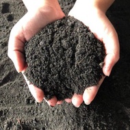 TANAH HITAM/CAMPUR *MIX BLACK SOIL*TANAH BAKAR/MERAH *Red Burnt Soil* @ (MAX 4KGS)