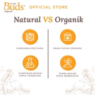 Buds Organics Children's Toothpaste Fluoride / Xylitol Children's Toothpaste
