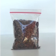 BENIH LAMTORO Super Taramba I BIJI LAMTORO 50 gr 100 gr dan 250 gr
