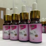 STEVIA + MONK FRUIT | PEMANIS BUAH MONK | PEMANIS STEVIA | 100% SWEETENER HERBA STEVIA MONK FRUIT