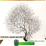 pohon akar bahar antik langka