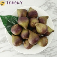 JEROMY Simulation Fig Ornament, Lifelike Mini Artificial Fig, Photography Props Handicrafts Funny Fa