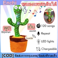 กระบองเพชรเต้นได้ น้องบองพูดได้ กระบองเพชรพูด [จัดส่งตลอด 24 ชั่วโมง] tiktok กระบองเพชรเต้นได้ 120 เ