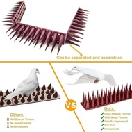 Cross-Border Wall Spike Pigeon Repellent Bird Spike4Balcony Fish Anti-Bird Spike Cat-Proof Courtyard