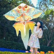 Kite Reel Kite Roulette Kite Kite Kite Reel Kite Reel Roulette Kite Workshop Goldfish Kite Adult Ded