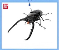 萬代扭蛋 生物大圖鑒鍬形蟲第11彈 孔夫子鋸鍬