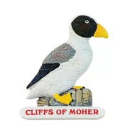 Europe, Ireland, Auk,3D Stereoscopic，Tourism Souvenirs，Resin Painting，Decoration Home，Refrigerator M
