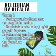 BV ALFAFA HAI O TERBAIK