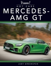 Mercedes AMG-GT Greenspan