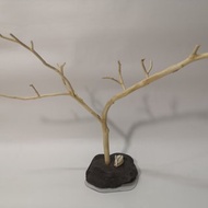 - 麋鹿角 - 飾品架 項鍊架 耳環架 戒指收納展示架 首飾架