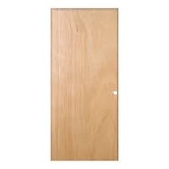 Plywood Flush Door Pintu Plywood
