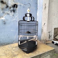 SANGKAR KANDANG BURUNG BESI BULAT JUMBO BESAR DIAMETER 38CM MERK F1 SANGKAR BURUNG ANIS CUCAK IJO PE