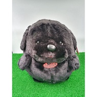 Cute Dog Dog Doll Toys