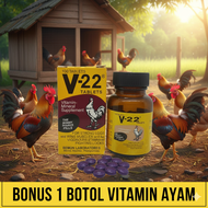 V22 Ayam Putih (Bonus Vitamin) obat ayam v22 original V22 Vitamin Ayam Aduan Obat Doping Ayam Pisau