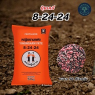 8-24-24 ตราหญิงงาม ขนาด 50 กิโลกรัม ( 1 กระสอบ ต่อ 1 ออเดอร์) สะสมอาหาร เร่งการออกดอก