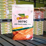 เมล็ดพันธุ์ข้าวโพด ดีคาล์บ 9979C (3.5 หุน) *ขนาด 10 กก. แห้งไว ต้นแกร่ง ผลผลิตสูง เหมาะเก็บเกี่ยวด้ว