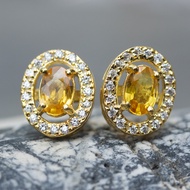 ต่างหูพลอยบุษราคัมน้ำทองบางกะจะ(Yellow Sapphire) ตัวเรือนเงินแท้ 92.5% ชุบทอง ล้อมด้วยเพชรCZ เกรดสวย