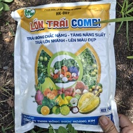 LỚN TRÁI COMBI GÓI 1KG. TRÁI BÓNG CHẮC NẶNG - TĂNG NĂNG SUẤT - TRÁI LỚN NHANH - LÊN MÀU ĐẸP.