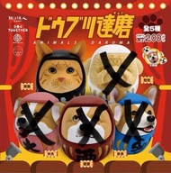 達磨 達摩 貓 扭蛋
