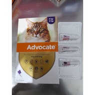Advocate Cat Flea Drops (4 - 8 kg) 1 tube