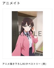 不起眼女主角的培育法Fine BD特典