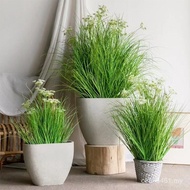 Simulation Onion Grass Indoor Dandelion Potted Plant Lu Simulation Plant Soft Package Cafe Fake Gree