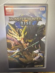 Monster Hunter rise