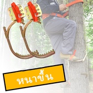Coolthings อุปกรณ์ปีนต้นไม้ อุปกรณ์ปีนเสาไม้ รองเท้าปีนต้นไม้ อุปกรณ์ปีนต้นไม้ Tree Climbing ที่ปีนต