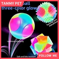 Pet Dog Toy Flashing Football Shape LED Light Sound Bouncy Ball Funny Kids
