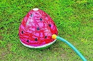 Chirushi Fountain Shower Watermelon 11.8 x 10.2 inches (30 x 26 cm) PAA-FW RD Small