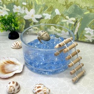 Hermit Crab Water Basin Crab Bathtub Foot Mat Stone Landscaping Ladder Crab Hermit Crab Bathtub Full