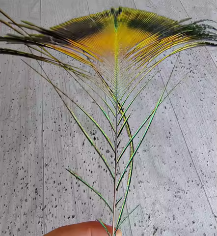 10Pieces 4-6" 10-15cm Long Loose Nature Trimmed Peacock Tail Feathers,Craft/Art/Bridal/Costume/Hallo