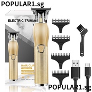 POPULAR Electric Hair Trimmer, Aluminium alloy Waterproof Hair Clipper,  USB Rechargeable with Guide Combs Electric Shaver Men