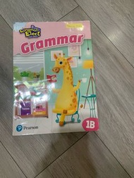 Longman Elect grammar