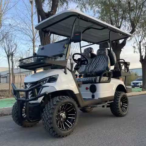Big Sale 8 Seat 48V 72V Lithium Battery Sunshine Curtain Rain Cover 14-Inch Off-Road Tires Electric 