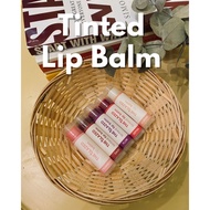 The Glazed Shea Butter Lip Balm 5g Handmade Tinted Moist & Hydrating Tinted Lip Balm Extra Shiny Tin