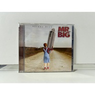 1 CD MUSIC International MR.BIG ACTUAL SIZE (L6G163)
