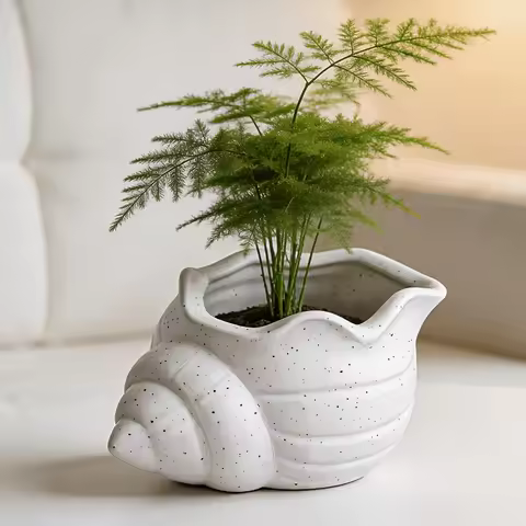A cute conch-shaped window sill planter with drainage holes, an indoor green plant container, an INS