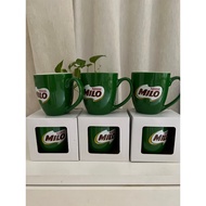 6pcs Milo Green Cup Mug Ceramic with individual box / Cawan Milo