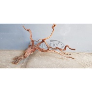 KAYU RANTING BESAR HIASAN AQUARIUM AQUASCAPE DECORATIONS ADRAQUATIC