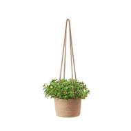 ✪【Outdoor special store】【Ready Stock】 Woven Rope Hanging Planter Basket Macrame Flower Pot Plant Holder Hanger Storage Organizer for Courtyard Garden Decor