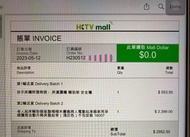 電動起床輔助器+扶手床欄全套