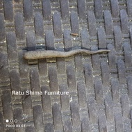 pusaka cacing kanil sepuh tangguh kediri bkn megantoro sengkelat kamarogan Termurah & Terlengkap Sei